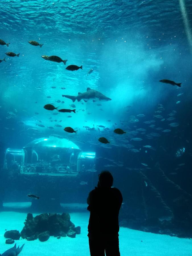 Las Canteras Aquarium Las Palmas de Gran Canaria Exterior photo